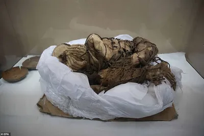 Закрывающую лицо руками мумию нашли в гробнице в Перу: 30 ноября 2021,  12:20 - новости на Tengrinews.kz