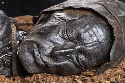 Ученые исследуют мумифицированные тела детей из катакомб капуцинов