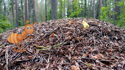 Картинка Муравей распечатать на листе A4 для детей | RaskraskA4.ru