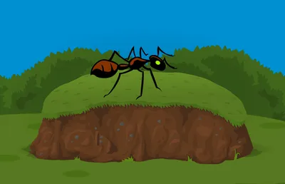 Картинки на тему #муравей - в Шедевруме