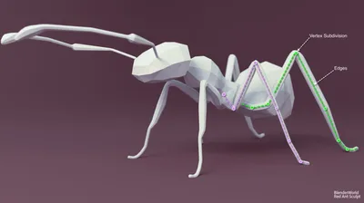 I painted Ants! Colored ants! alex boyko - YouTube