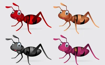 К чему снятся муравьи по соннику: толкование снов про муравьев