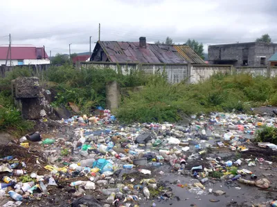 Мусорка вынудила жительницу Воронежа везти отходы на другой конец города