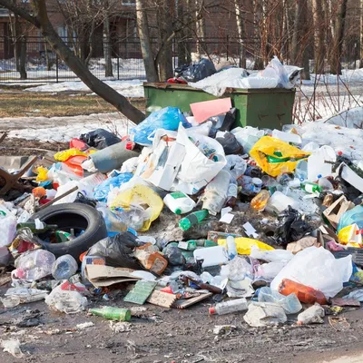 Мэрия вновь отказывается благоустраивать мусорку на улице Фонтанной |  СИТУАЦИЯ | ЗДОРОВЬЕ | АиФ Пермь
