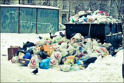 Одна из причин почему у нас мусорки выглядят вот так | Пикабу