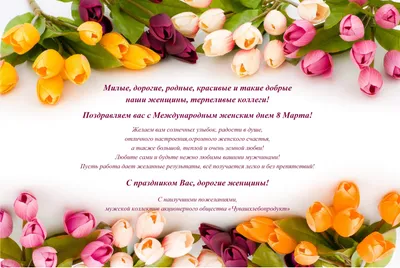 Поздравляем с 8 марта!, Новости