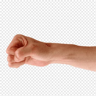 Фотография рук, которые защищают и оберегают
