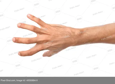 Фото мужской руки, держащей мобильный телефон