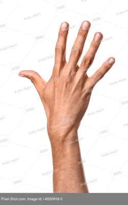 Мужская рука, держащая предмет