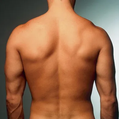 мужская спина стоковое фото. изображение насчитывающей молодо - 220141162