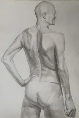 Men's body. Мужское тело. Накачанная спина. | Instagram profile, Quinn, Body