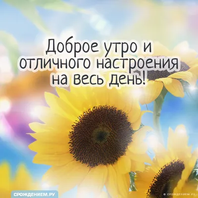 Картинка: С Добрым утром! \"Желаю море позитива..\" • Аудио от Путина,  голосовые, музыкальные