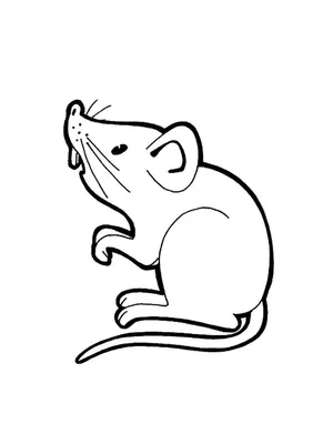 Mouse | Coloring book for children: 14 coloring pages распечатать