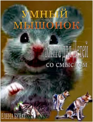 Умный Мышонок. Книга для Детей со Смыслом : Pankey, Elena, Bulat, Elena:  Amazon.sg: Books