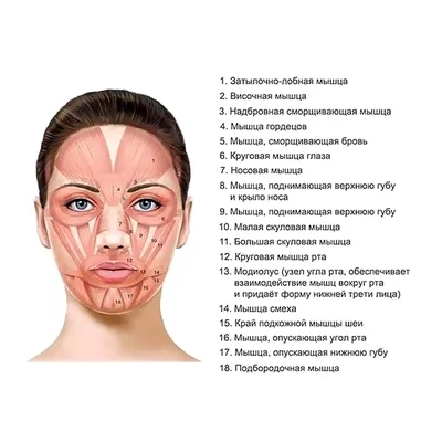 Nasal Face - назальный тип старения лица | Интеллектуальная косметология  Face Clinic