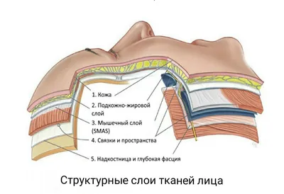 Почему важно расслаблять мышцы лица?