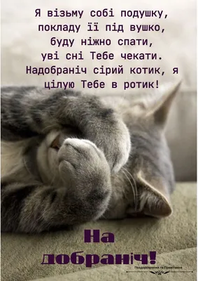 Pin by Валена В on Мудрости | School posters, I smile, Picture