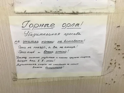 Вредные советы: 10 гарантированных способов угробить унитаз - Недвижимость  РИА Новости, 18.03.2021