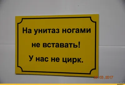 Тоже спрошу: зачем забираться на унитаз ногами? Форум Страница 9