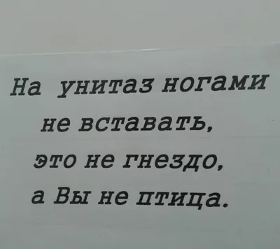 ЖИЗНЬ НАСТОЛЬКО КОРОТКА ЧТО НЕ СТОИТ ЕЕ ТРАТИТЬ НА ПЛОХОЕ НАСТРОЕНИЕ И  РЕМОНТ ТУАЛЕТОВ ПОЖАЛУЙСТА, / позитив :: унитаз :: Буквы на белом фоне ::  фото / смешные картинки и другие приколы: