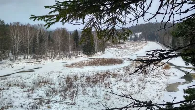 Признак начало зимы» — создано в Шедевруме