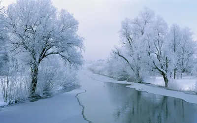 Начало зимы : первый снег , Beginning of winter: the first snow | Beautiful  places, Snow, Outdoor