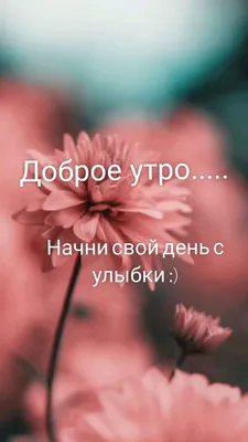 Доброе утро..... Начни свой день с улыбки :) | Улыбка, Доброе утро