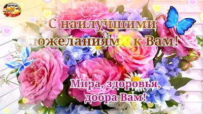 С днем рождения подруге - стихи, проза картинки и открытки подружке с др -  Телеграф