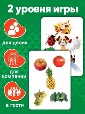 Найди пару набор карточек для дошкольного развития детей Шпаргалки для мамы  4332500 купить за 359 ₽ в интернет-магазине Wildberries