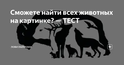 Оптические иллюзии с животными - тест на внимательность за 20 секунд | РБК  Украина