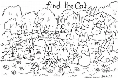 Найди зайца на картинке фотографии