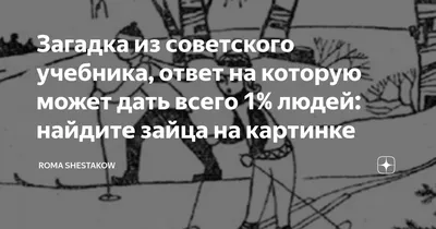 Заяц-русак: Сказка ложь! Ведь заяц совсем не трусливый и добрый, но  настоящий боец, хитрец, а порой даже убийца - ЯПлакалъ