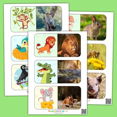 Буква-Ленд Книжка для детей с липучками Уши, лапы и хвосты