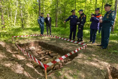 Бутербродница контейнер Находки для дома 191622978 купить за 303 ₽ в  интернет-магазине Wildberries