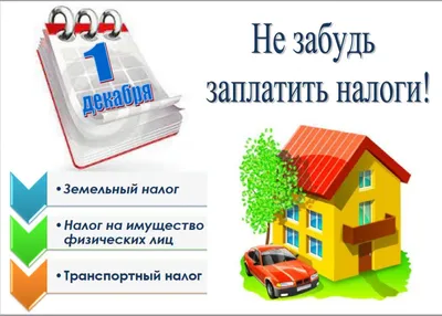 Налоги и иммиграционный статус: что нужно знать, чтобы не наделать ошибок -  ForumDaily