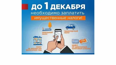 В каком случае бизнес с оборотом до 8 млн сомов не будет платить налоги