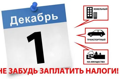 Комиссия за результат и налог на прибыль»: за что брокер может удержать с  инвестора деньги | Банки.ру