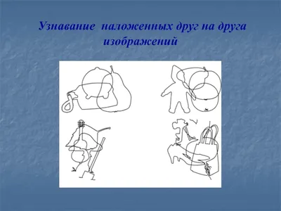 Тренируем внимание и усидчивость - купить с доставкой по Москве и РФ по  низкой цене | Официальный сайт издательства Робинс