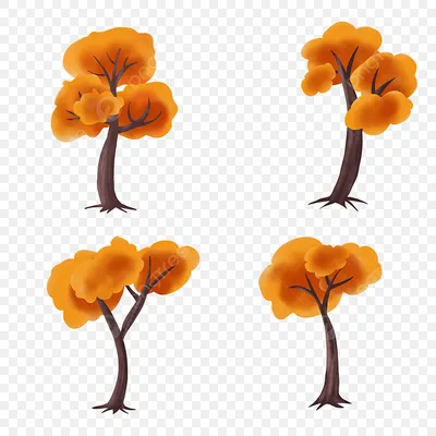Нарисованные рукой элементы осеннего дерева PNG , осень, дерево, природа  PNG картинки и пнг PSD рисунок для бесплатной загрузки
