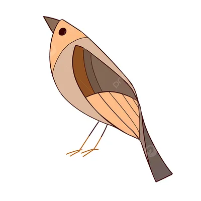 Нарисованные вручную графики карандаша Установленные хищные птицы  Иллюстрация вектора - иллюстрации насчитывающей карандаш, элемент: 89393230
