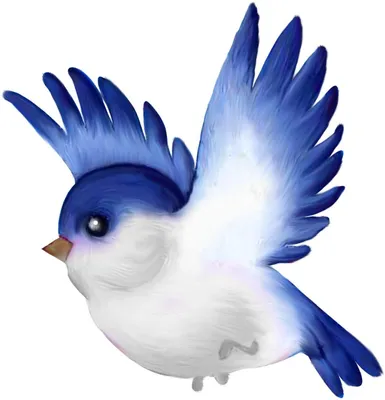 Птицы нарисованные рукой орнаментальные Иллюстрация вектора - иллюстрации  насчитывающей творческо, бобра: 66817083