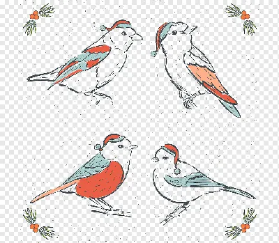 Нарисованные птицы - красивые фото