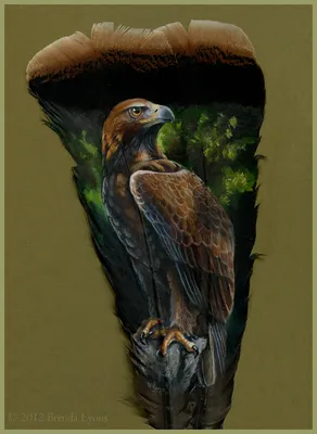 Рисунок птицы на евклидовой иллюстрации, четыре руки нарисованы птицами  зимой, акварель, зима, животные png | PNGWing