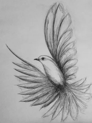 Нарисованные птицы и животные(карандаш)