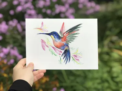 Птички нарисованные акварелью - 100 фото