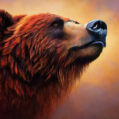 Мультяшный нарисованный медведь - 68 фото