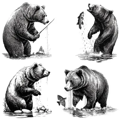 Bear Snout Font, Милый антропоморфный Медведь, нарисованный, животные,  карнавор png | PNGWing