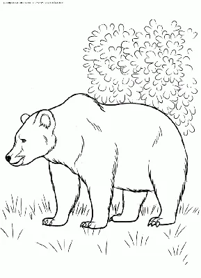 Милый белый медведь нарисованный …» — создано в Шедевруме