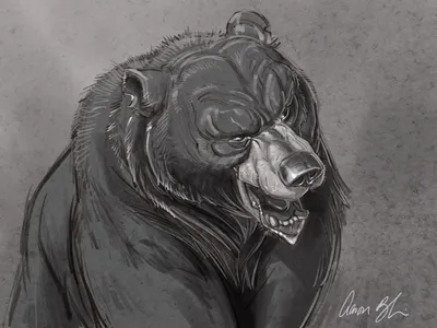 Нарисованный медведь злой - 44 фото