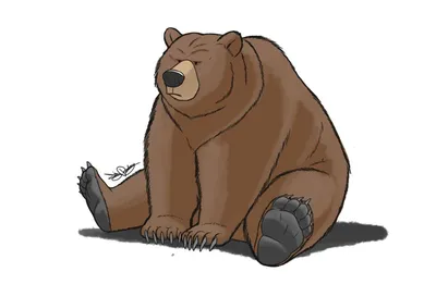 Монохромный Вектор Нарисованный От Руки Zentagle Иллюстрация Медведь —  стоковая векторная графика и другие изображения на тему Медведь - iStock